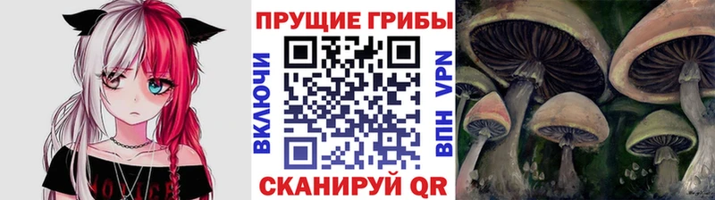 Псилоцибиновые грибы MAGIC MUSHROOMS  как найти наркотики  Кашира 