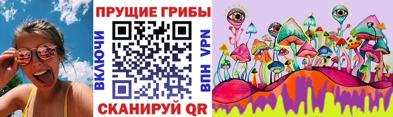Псилоцибиновые грибы мухоморы Кашира