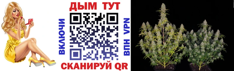 Канабис THC 21%  наркота  Кашира 